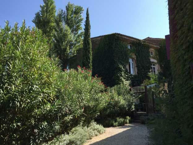 Bed and Breakfast Les Aiguières en Provence Suze-la-Rousse Esterno foto
